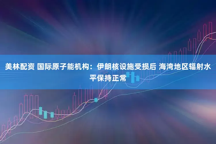 美林配资 国际原子能机构：伊朗核设施受损后 海湾地区辐射水平保持正常