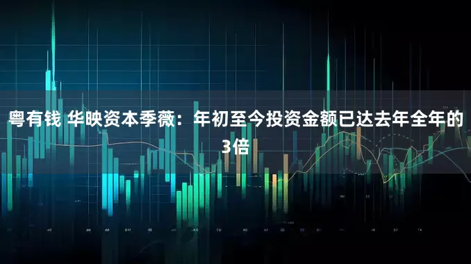 粤有钱 华映资本季薇：年初至今投资金额已达去年全年的3倍
