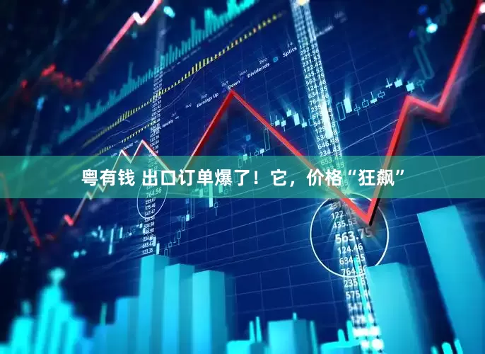 粤有钱 出口订单爆了！它，价格“狂飙”