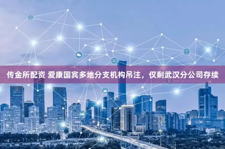 传金所配资 爱康国宾多地分支机构吊注，仅剩武汉分公司存续