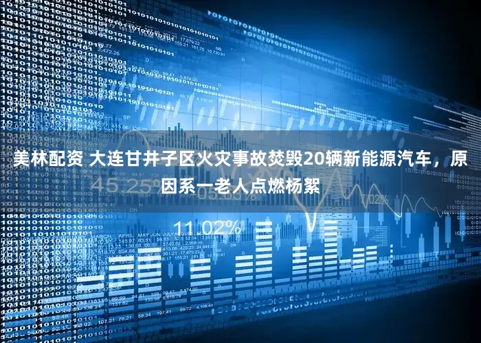 美林配资 大连甘井子区火灾事故焚毁20辆新能源汽车，原因系一老人点燃杨絮